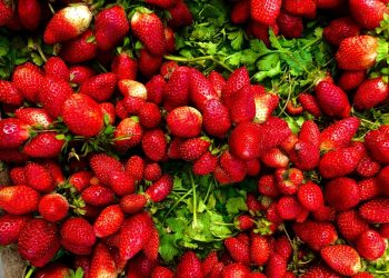 Φράουλες:-Το-καλοκαιρινό-φρούτο-με-τα-πολλά-οφέλη-που-αξίζει-να-βάλεις-στη-διατροφή-σου