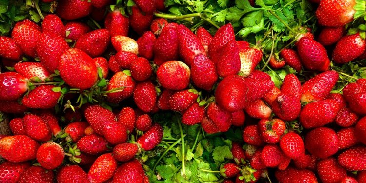 Φράουλες:-Το-καλοκαιρινό-φρούτο-με-τα-πολλά-οφέλη-που-αξίζει-να-βάλεις-στη-διατροφή-σου