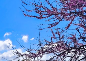 Καιρός-–-Καλλιάνος:-Άστατος-με-περισσότερες-νεφώσεις,-βροχές-κατά-διαστήματα-και-τοπικές-καταιγίδες