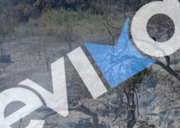 Σύλληψη-56χρονου-για-πρόκληση-πυρκαγιάς-σε-δασική-έκταση-στην-Εύβοια