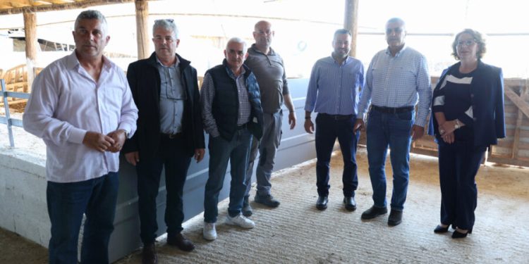 Στο-πλευρό-των-πληγέντων-κτηνοτρόφων-του-Αμπελώνα-Τυρνάβου-ο-Περιφερειάρχης-Θεσσαλίας