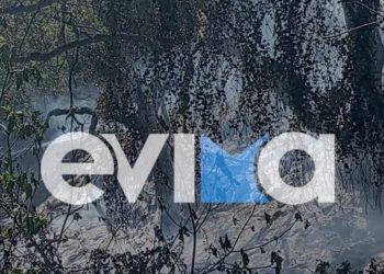 Εύβοια:-Σύλληψη-και-πρόστιμο-σε-56χρονο,-για-φωτιά-από-αμέλεια-στην-περιοχή-Πλατάνα