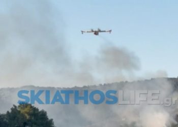 Υπό-έλεγχο-η-φωτιά-στην-Σκιάθο,-σε-δασική-έκταση-στον-Πλατανιά