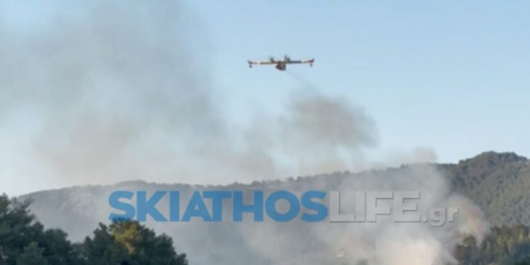 Υπό-έλεγχο-η-φωτιά-στην-Σκιάθο,-σε-δασική-έκταση-στον-Πλατανιά