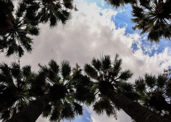 Ο-καιρός-σήμερα-20/4/2026